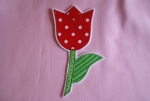 Tulpe